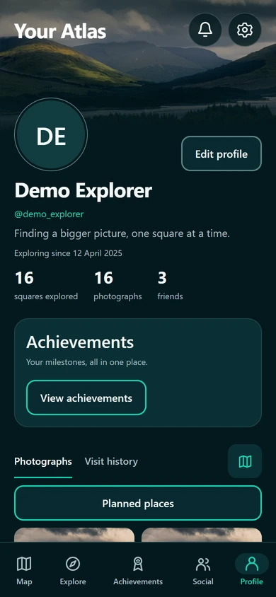 Actual Gridyssey Profile screen with fictional demonstration records
